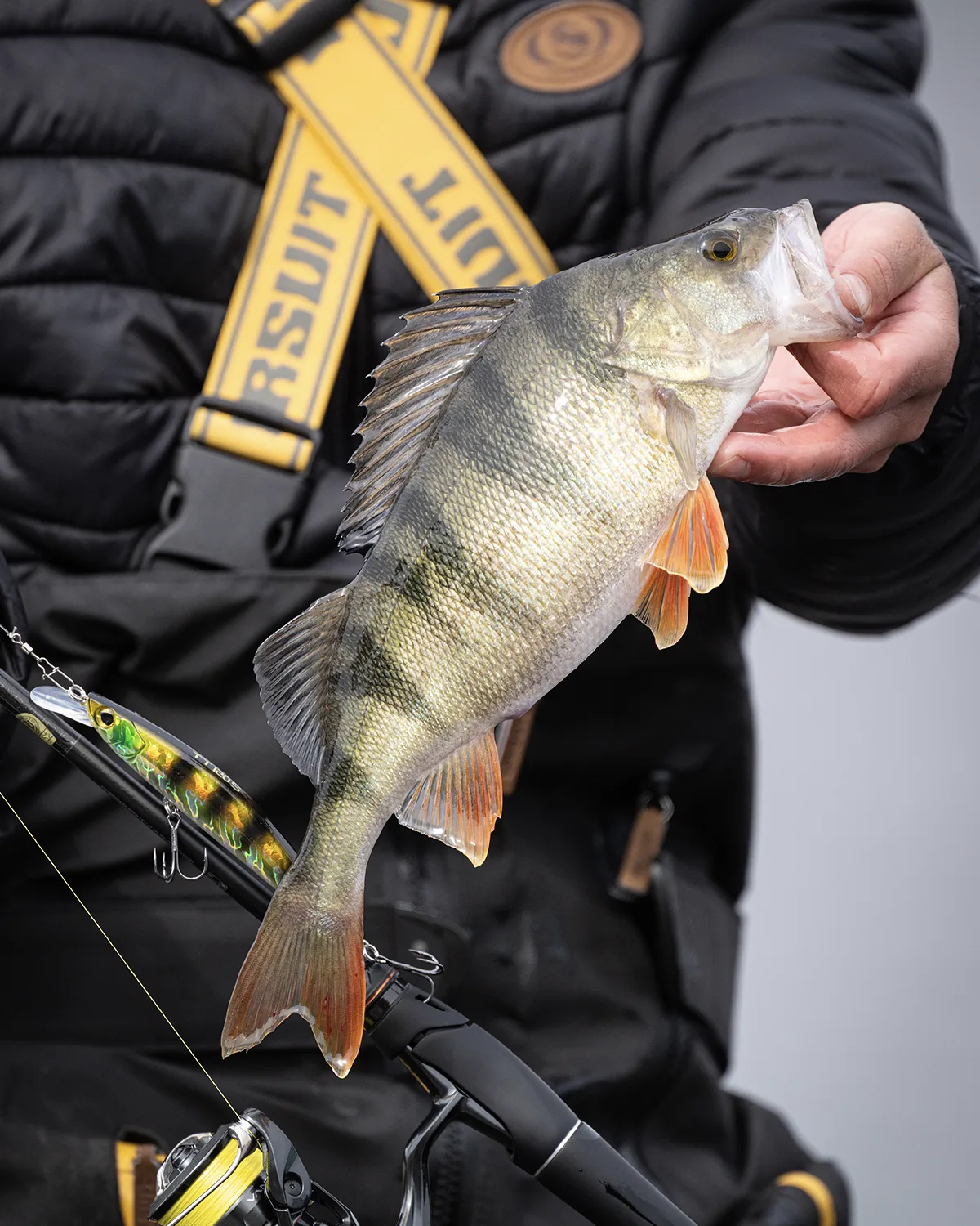 Kundbild från spinnfiske