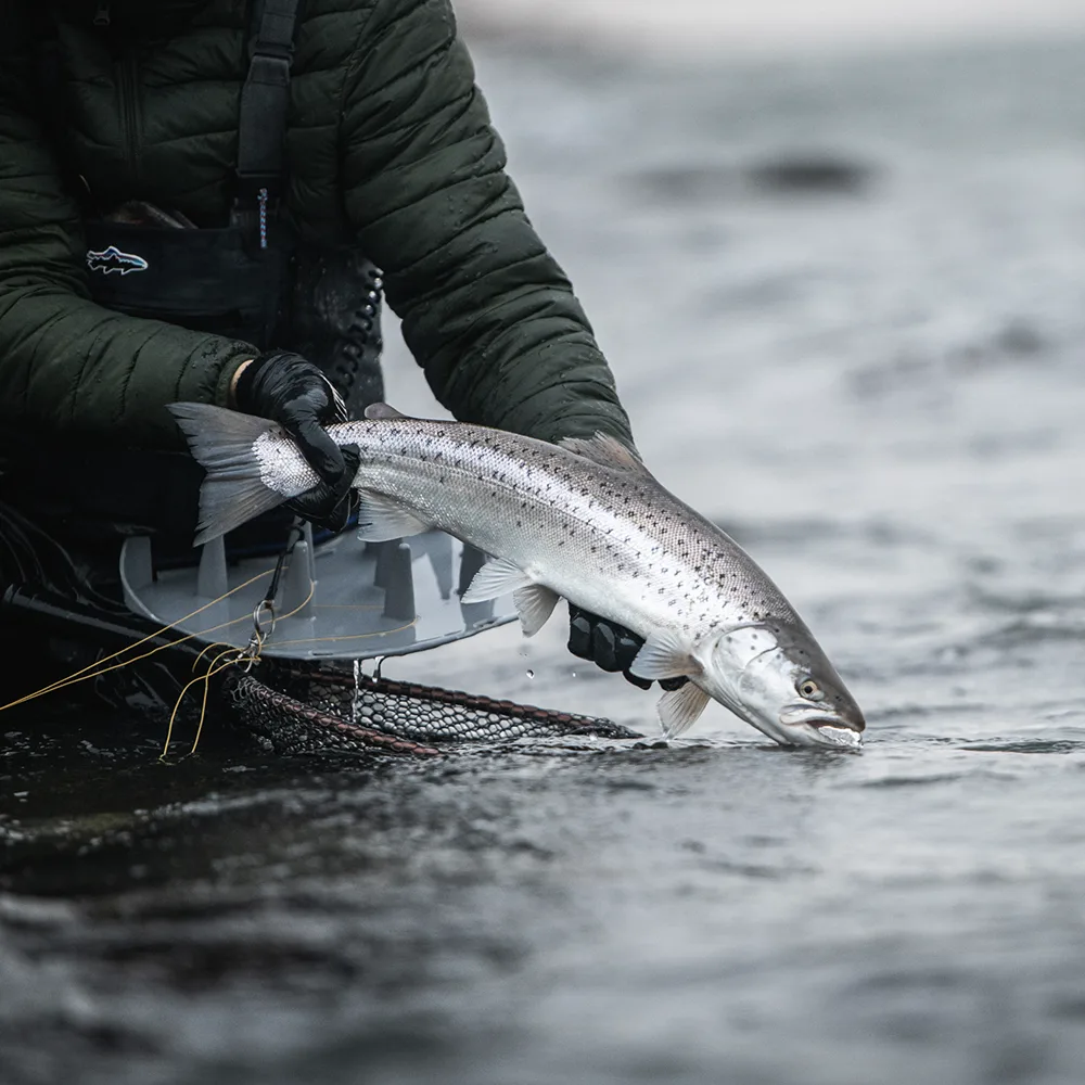 Fiskeutrustning och ansvarsfulla val