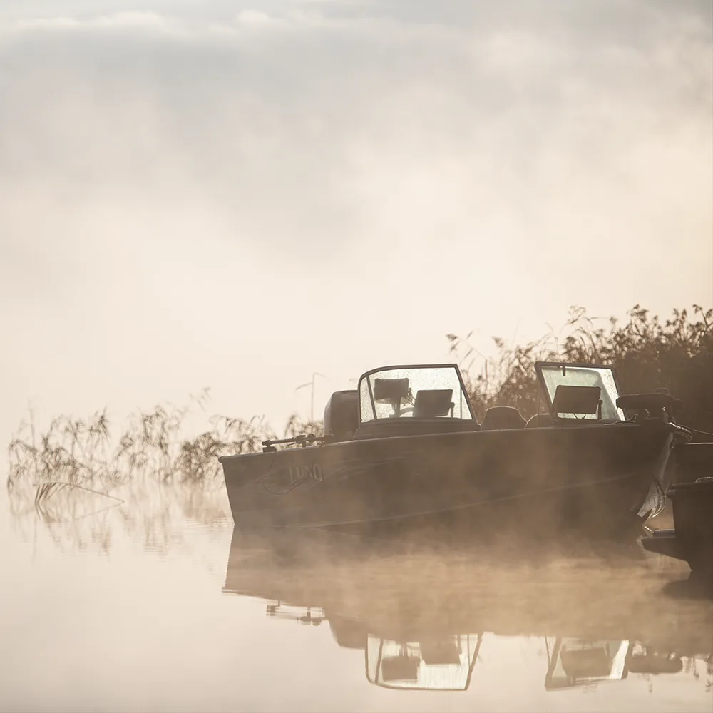 Stämningsbild från vattendrag