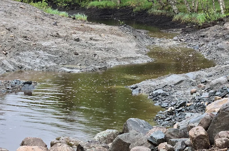 Restaureringsområde och älvmiljö