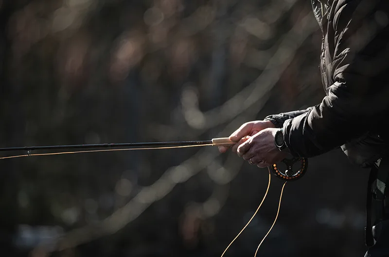 Strömvatten som stödjer öringens livsmiljö