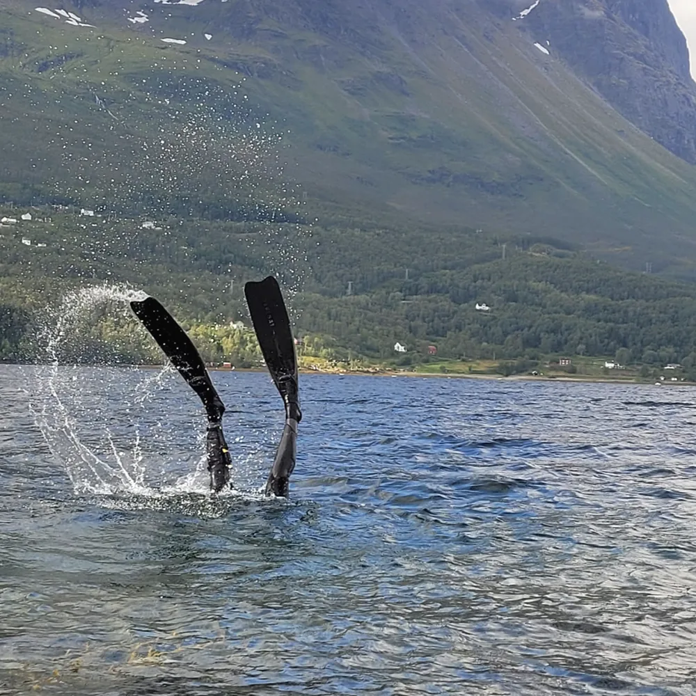 Insamling av fiskeavfall från botten