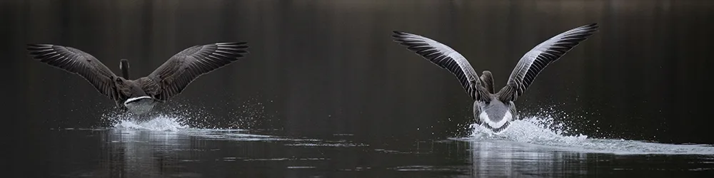 Bild kopplad till fiskeutrustning och ansvarsfullt arbete