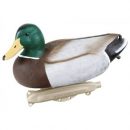 Lockande bilder / -diagram