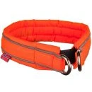 Hundhalsband