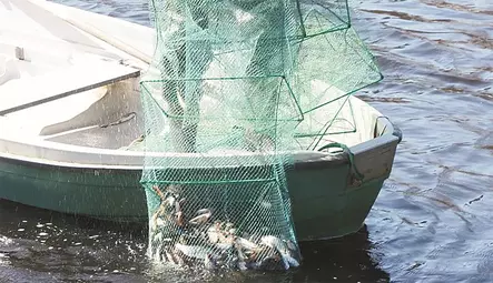 Aapo Kalatupa 5M - Katsar - 6418252939100 - 2