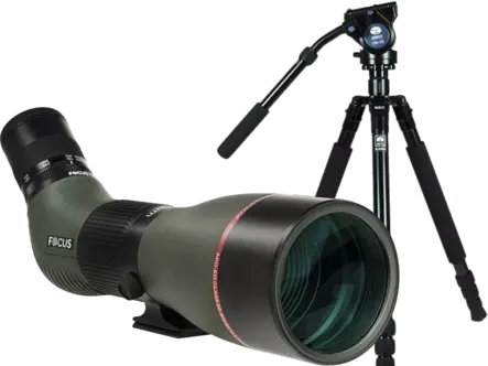 Kit Focus Optimum ED 20-60x85 with Sirui R2004+VH10 - Tubkikare - 130600 - 1