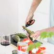 Fiskars Functional Form Fish Shears 22cm - Filéknivar - 6411501991270 - 2