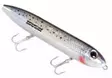 Heddon Super Spook Jr 10cm - Ytbehandlingar - 340017901770 - 5