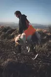 Non-stop Dog Rescue Sling Pro - Övriga hundprodukter - 7071652297530 - 2