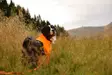 Non-stop Dogwear Protector Suit F Orange/Black - Hundjackor och -västar - 7071652045230 - 5