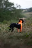 Non-stop Dogwear Protector Suit F Orange/Black - Hundjackor och -västar - 7071652045230 - 4