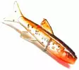 Orka Small Fish 3cm 6pcs - Vertikaljiggar - 86050395208680000 - 19
