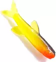Orka Small Fish 3cm 6pcs - Vertikaljiggar - 86050395208680000 - 13