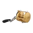 Penn International 70VIS Gold - Lätta kustrullar - 031324167070 - 2