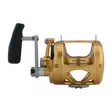 Penn International 70VIS Gold - Lätta kustrullar - 031324167070 - 3