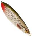 Rapala Rattlin Minnow Spoon 8cm 16g - Skeddrag - 022677233550 - 25