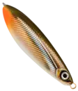 Rapala Rattlin Minnow Spoon 8cm 16g - Skeddrag - 022677233550 - 26