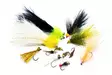 Superflies Rainbow Trout Selection - Flugsortiment - 8859202538970 - 1