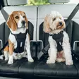 Thule Cappy Black - Övriga hundprodukter - 197074666130 - 5