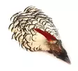Veniard Amherst Pheasant Head No.1 - Skinn, vingar och huvud - 5056304600007 - 1