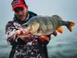 VMC Dart Jig Matt Craw - Jiggskallar - 3422993062600 - 3