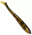 XL-Fättis 35cm 170g - Gummibeterna för gädda - 0401202010 - 14