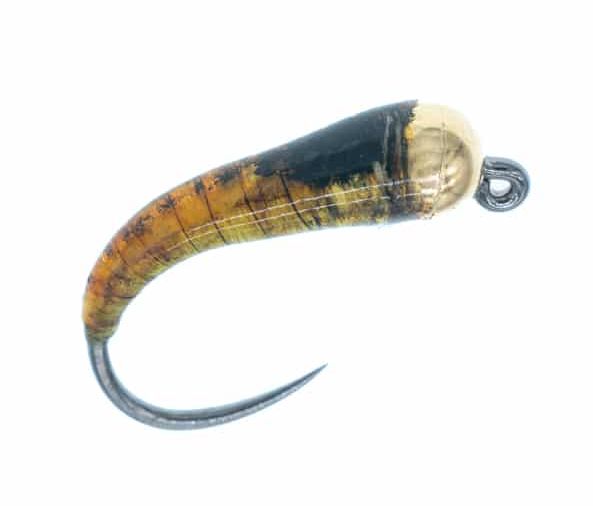 Glue Larva with Gold Bead - Våtflugor - 8859202210 - 1