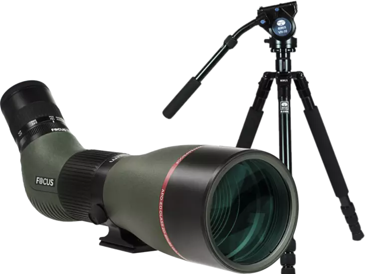 Kit Focus Optimum ED 20-60x85 with Sirui R2004+VH10 - Tubkikare - 130600 - 1