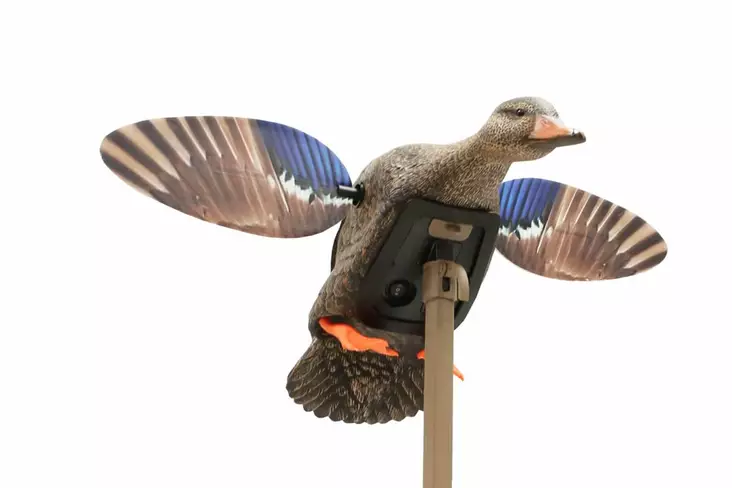 MOJO Elite Series Mini Mallard Hen - Lockande bilder / -diagram - 816740004570 - 1