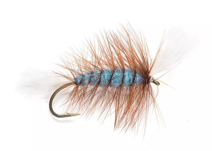 Pompero Labatt Blue - Laxflugor - 8859202532510 - 2