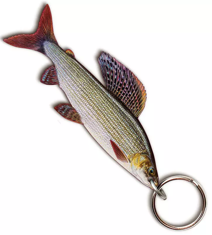 Sakke Yrjölä fish key ring - Trycksaker - 202501294560 - 1