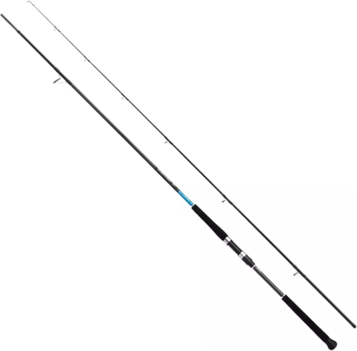 Shimano Bassterra XT Shore Jigging 9'6" 20-80g - Havsabborrspön - 8717009888790 - 1