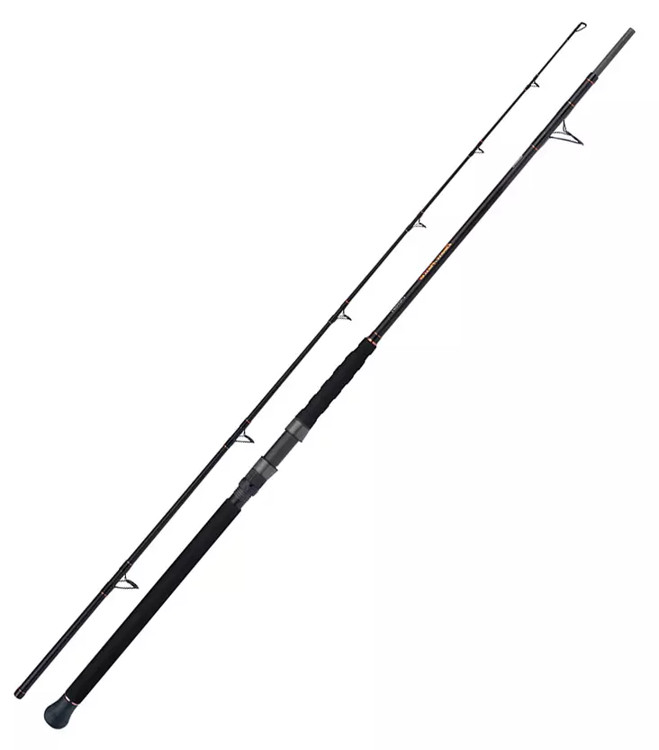 Shimano Beastmaster AX Catfish Multi 230cm 200g Spinning 2pc - Saltwater-haspelspön - 8717009868310 - 1