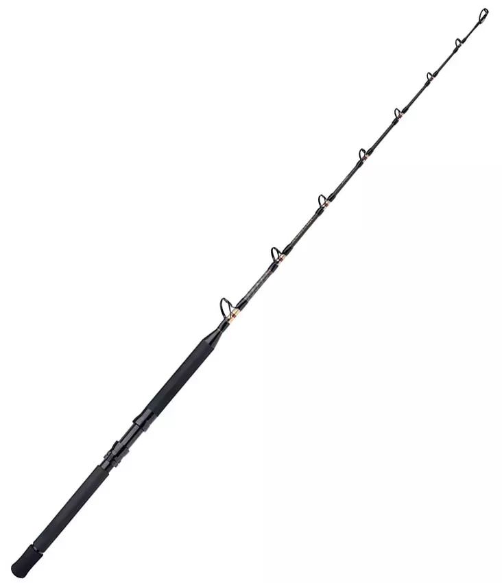 Shimano TLD B Standup 5'5" 30lb 1pc - Havsfiskespön för djuphavsfiske - 8717009868600 - 1
