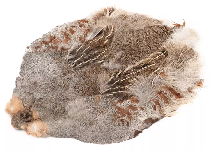 Wapsi #1 Hungarian Partridge Skin - Skinn, vingar och huvud - 762820008690 - 1