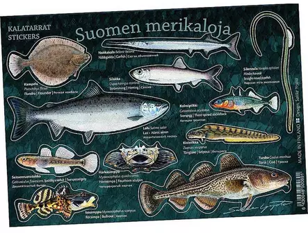 Suomen merikaloja - Kalatarrat - Trycksaker - 6430048500691 - 1