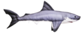 Gaby Great White shark 120cm - Mjukfiskar - 5905279175761 - 1