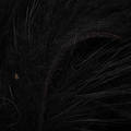 Silvergrey Nutria Zonker Strips - Zonker - 40500200221 - 2