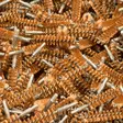 BoreTech Bronze Bore Brush 3 Pack - Övriga vapenunderhållsprodukter - 667739170031 - 6