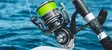 Daiwa 20 BG MQ - Stora saltvattens-haspelrullar - 043178595831 - 6