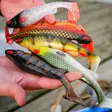 Daiwa Prorex Lazy Shad 20 - Gummibeterna för gädda - 251020221 - 20