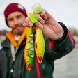 Daiwa Prorex Lazy Shad 20 - Gummibeterna för gädda - 251020221 - 22