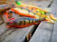 Daiwa Prorex Lazy Shad 20 - Gummibeterna för gädda - 251020221 - 21