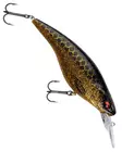 Daiwa PX Flat Bait 150mm - Vobbler +10 cm - 0903202411 - 8