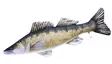 Gaby Giant Zander 110cm - Mjukfiskar - 5905279175211 - 1