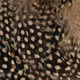 Strung Guinea Feathers - Övriga fjädrar - 40400400041 - 17