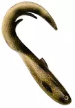 Headbanger Firetail 17cm 56g - Gummibeterna för gädda - 1604202211 - 11