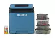 Igloo IE27 Thermoelectric Cooler 12V/230V 27 l Blue - Kyllådar och -veskar - 7315091520171 - 7