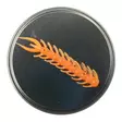 Microbite Centipod 45mm - Krabbjiggar och insektsimitationer - 340030000451 - 4